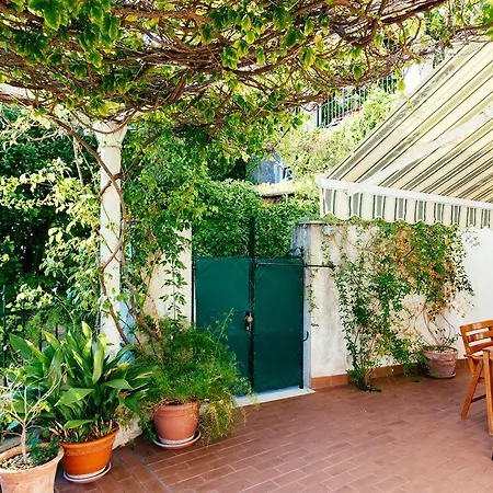 Hedera Estate, Hedera A27 * דוברובניק