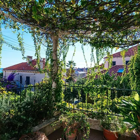 Hedera Estate, Hedera A27 Дубровник